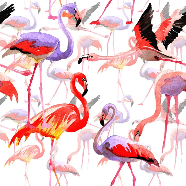 Padrão de flamingo pássaro céu em uma vida selvagem pelo estilo aquarela . — Fotografia de Stock