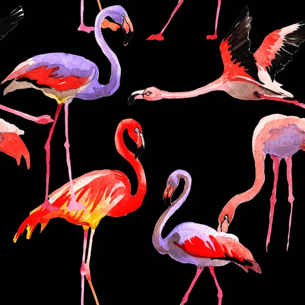 Sky vogel flamingo patroon in een fauna door aquarel stijl. — Stockfoto