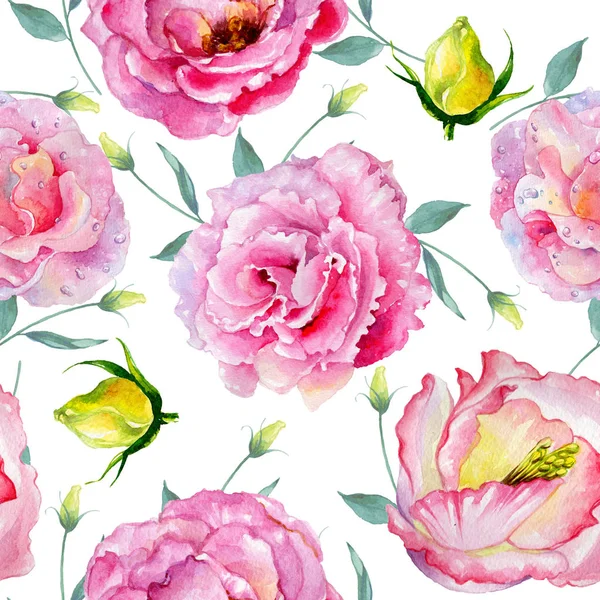 Flor silvestre rosa patrón de flor en un patrón de estilo acuarela . — Foto de Stock