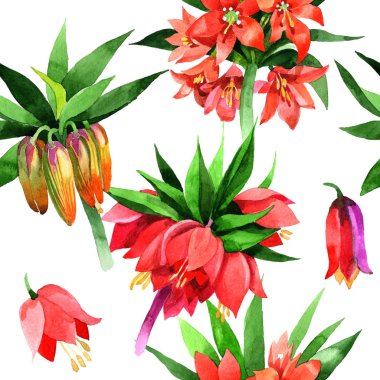 Kır çiçeği Fritillaria imperialis çiçek deseni suluboya tarzında.
