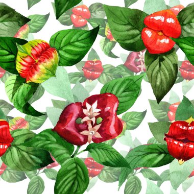 Kır çiçeği psychotria elata çiçek deseni suluboya tarzında.