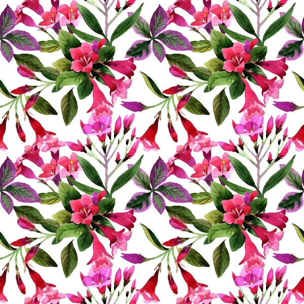 Wildblume weigela florida Blumenmuster im Aquarell-Stil. — Stockfoto