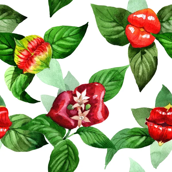 Kır çiçeği psychotria elata çiçek deseni suluboya tarzında.