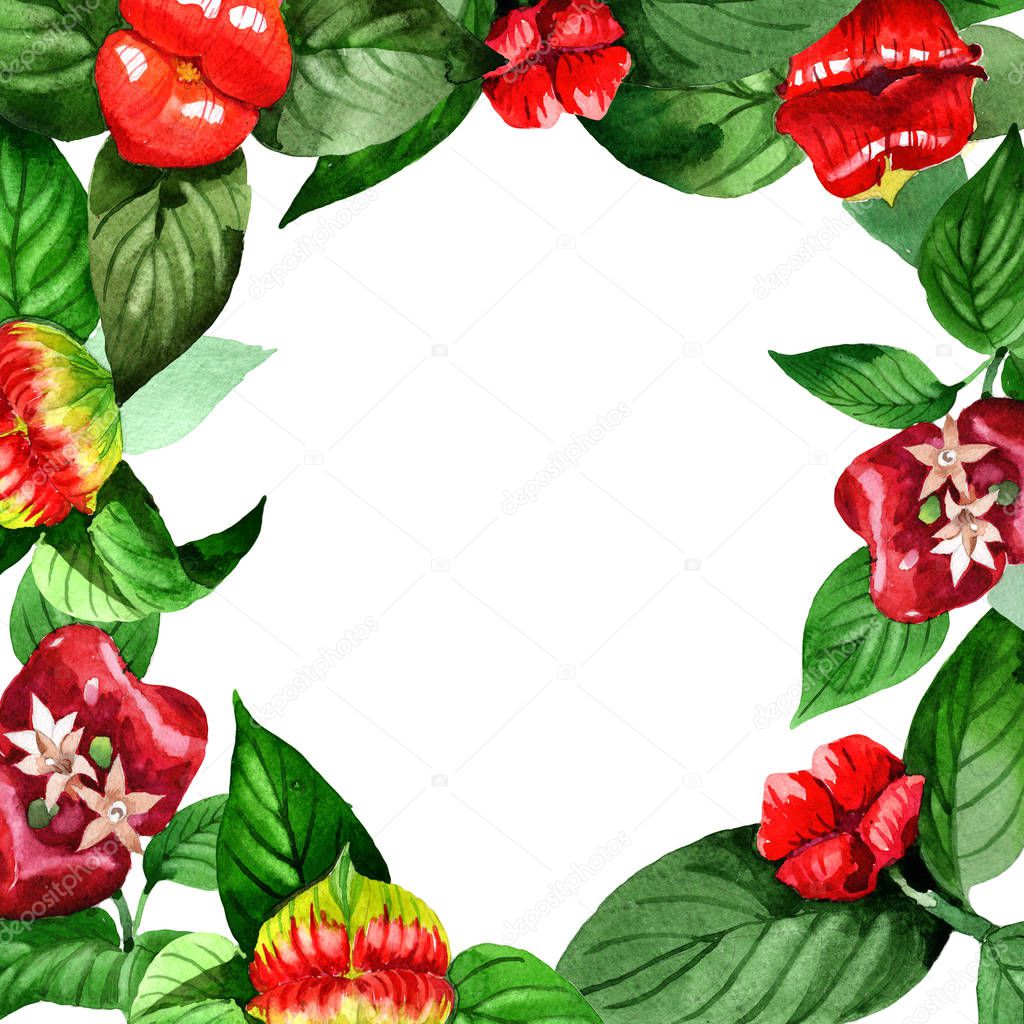 Wildflower psychotria elata flower frame in a watercolor style.