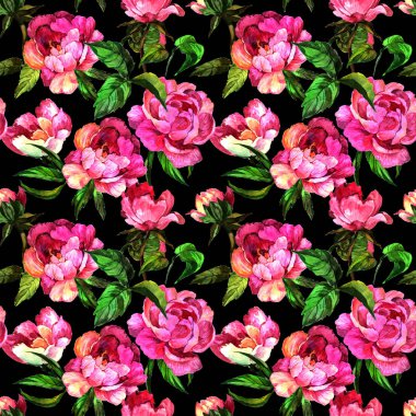 Kır çiçeği peony çiçek desen bir suluboya stili.