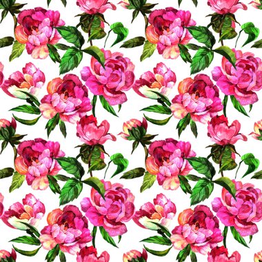 Kır çiçeği peony çiçek desen bir suluboya stili.