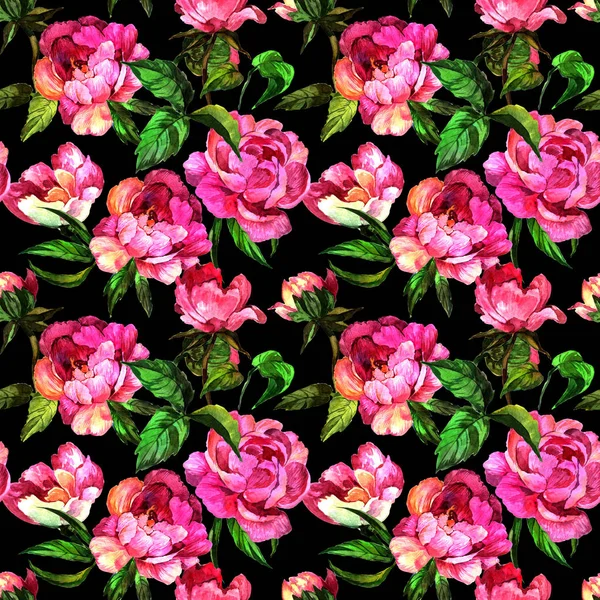 Wildflower peony flower in pattern a watercolor style. — Stock Photo, Image