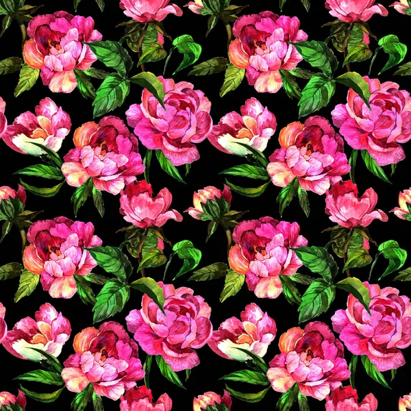 Fiore di peonia di fiori selvatici nel modello uno stile acquerello . — Foto Stock