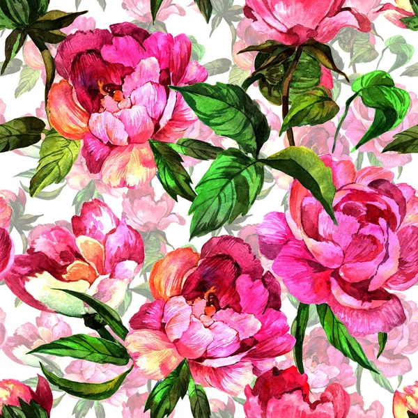 水彩風のパターンにワイルドフラワー牡丹の花. — ストック写真
