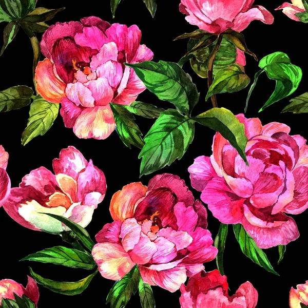 Fiore di peonia di fiori selvatici nel modello uno stile acquerello . — Foto Stock