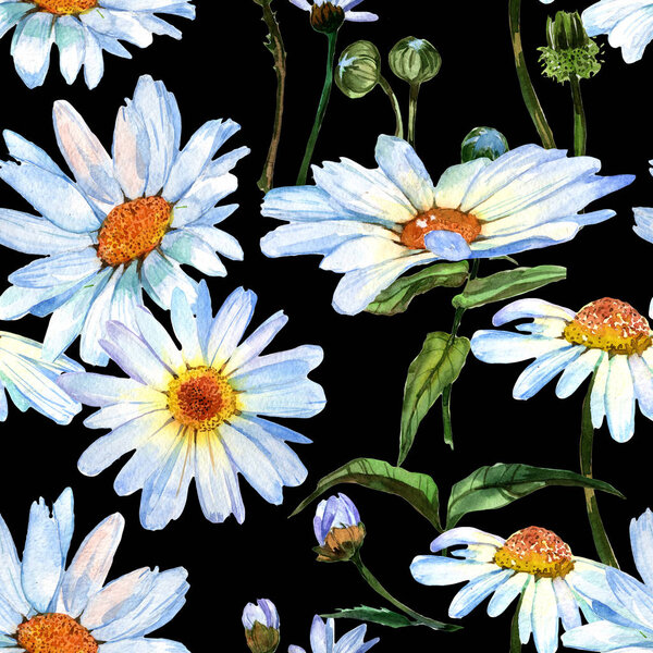 Wildflower daisy flower pattern in a watercolor style.