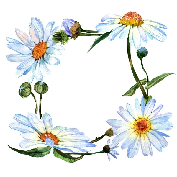 Wildflower daisy blomman i krans en akvarell stil. — Stockfoto