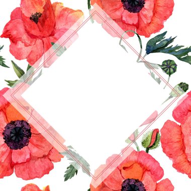 Kır çiçeği haşhaş çiçek çerçeve suluboya tarzında.