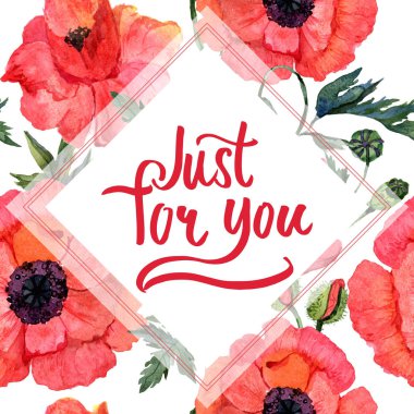 Kır çiçeği haşhaş çiçek çerçeve suluboya tarzında.