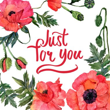 Kır çiçeği haşhaş çiçek çerçeve suluboya tarzında.