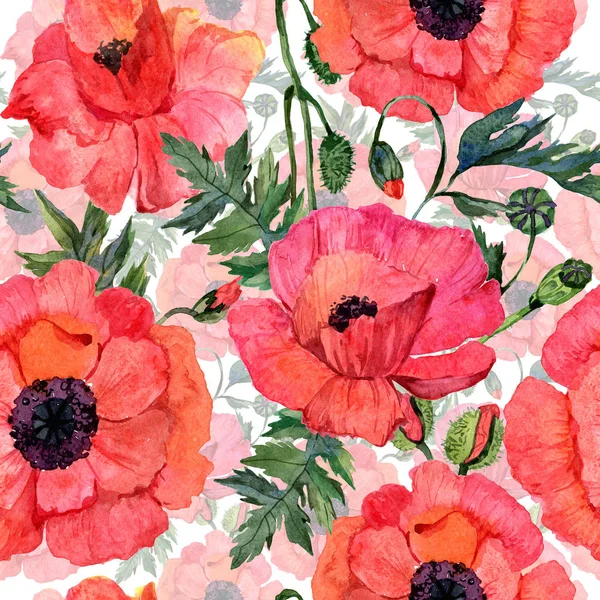 Wildflower poppy flower pattern in a watercolor style.