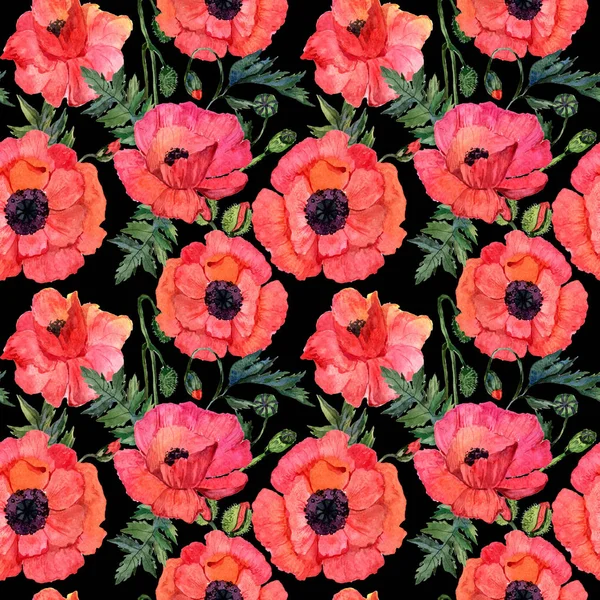 Wildflower poppy bloemenpatroon in een aquarel stijl. — Stockfoto