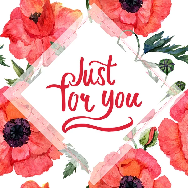 Kır çiçeği haşhaş çiçek çerçeve suluboya tarzında.