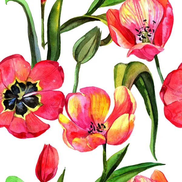 Kır çiçeği Lale çiçek deseni suluboya tarzında.