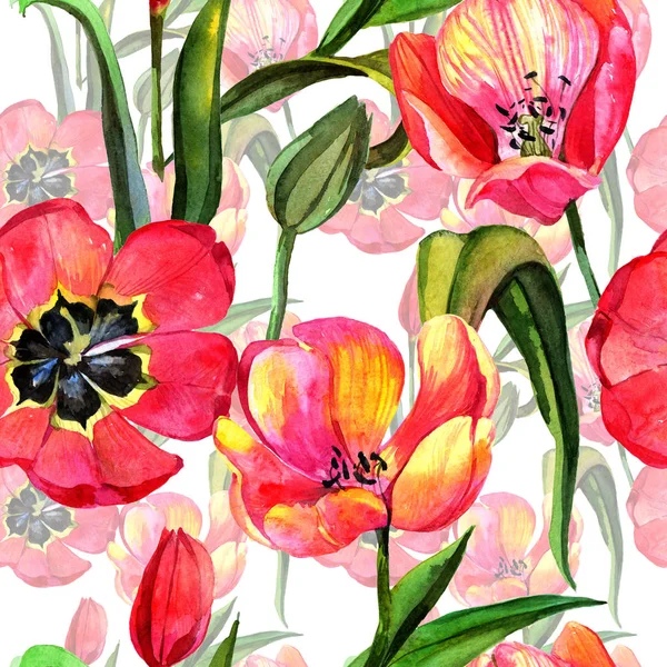 水彩風の野生の花チューリップ花のパターン. — ストック写真