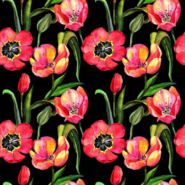 Kır çiçeği Lale çiçek deseni suluboya tarzında.