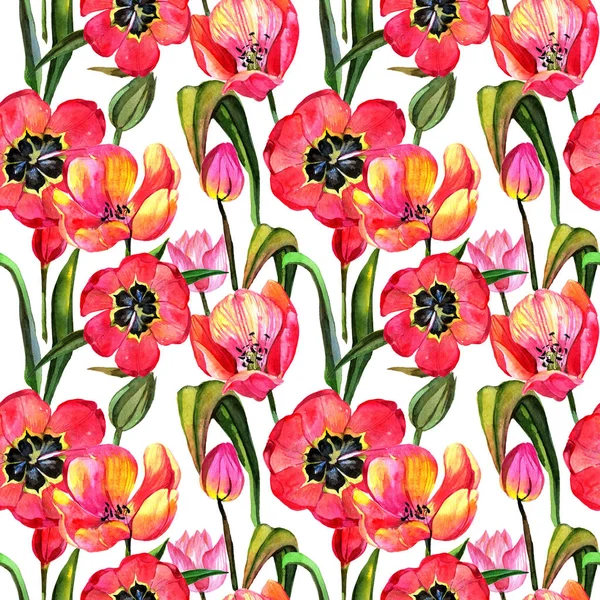 Wildflower tulip flower pattern in a watercolor style.