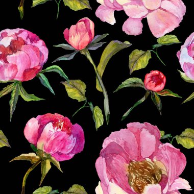 Kır çiçeği peony çiçek deseni suluboya tarzında.