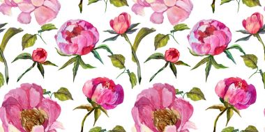 Kır çiçeği peony çiçek deseni suluboya tarzında.