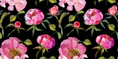 Kır çiçeği peony çiçek deseni suluboya tarzında.