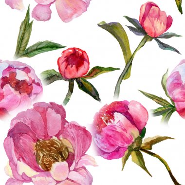 Kır çiçeği peony çiçek deseni suluboya tarzında.