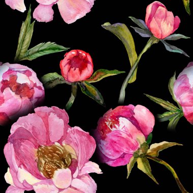 Kır çiçeği peony çiçek deseni suluboya tarzında.