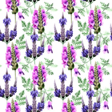 Kır çiçeği lavanta çiçek deseni suluboya tarzında.