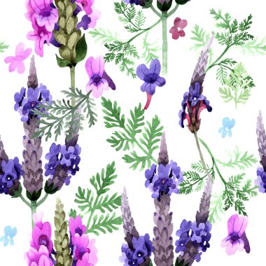 Kır çiçeği lavanta çiçek deseni suluboya tarzında.