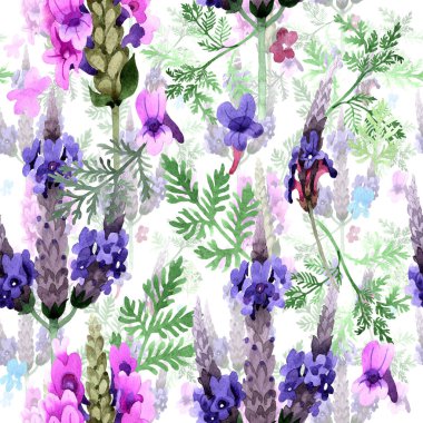 Kır çiçeği lavanta çiçek deseni suluboya tarzında.