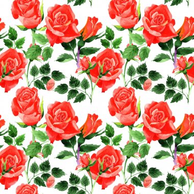 Kır çiçeği güller çiçek deseni suluboya tarzında.