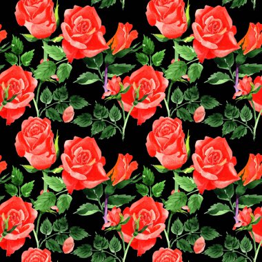 Kır çiçeği güller çiçek deseni suluboya tarzında.