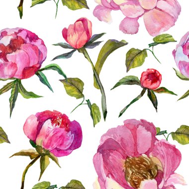 Kır çiçeği peony çiçek deseni suluboya tarzında.