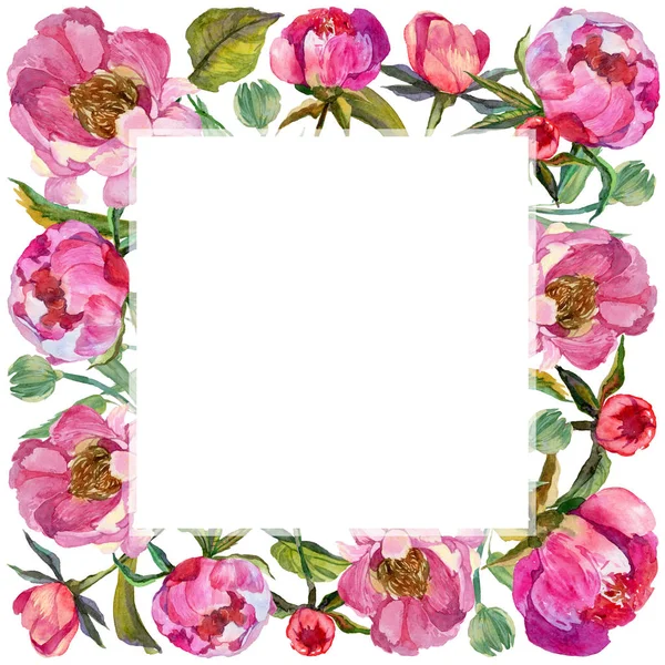 Vadvirág bazsarózsa virág keret akvarell stílusú. — Stock Fotó