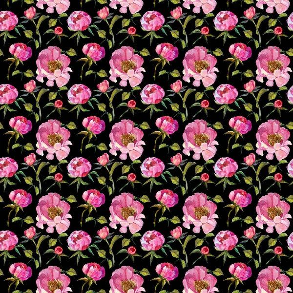 Wildflower peony flower pattern in a watercolor style. — Stock Photo, Image