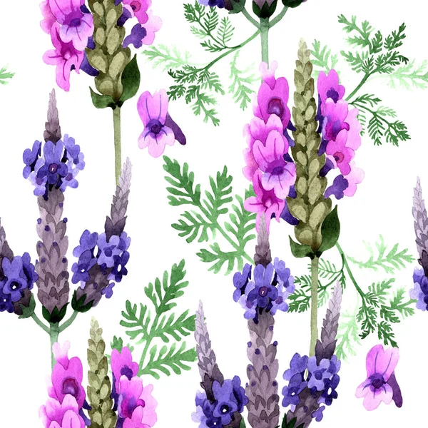 Padrão de flor de lavanda de flores silvestres em um estilo aquarela . — Fotografia de Stock