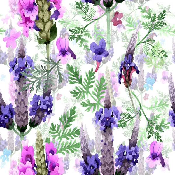 Kır çiçeği lavanta çiçek deseni suluboya tarzında.