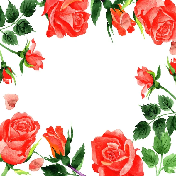 Cadre de fleurs de roses sauvages dans un style aquarelle . — Photo