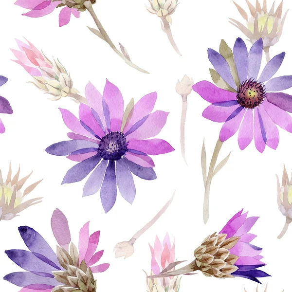 Wildflower immortelle flower pattern in a watercolor style.