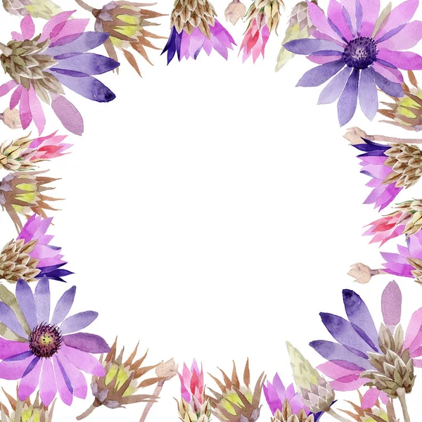 Wildflower immortelle flower frame in a watercolor style. — Stock Photo, Image