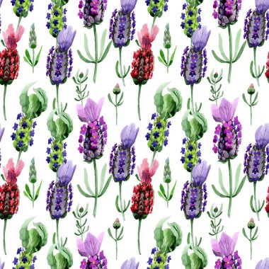 Kır çiçeği lavanta çiçek deseni suluboya tarzında.
