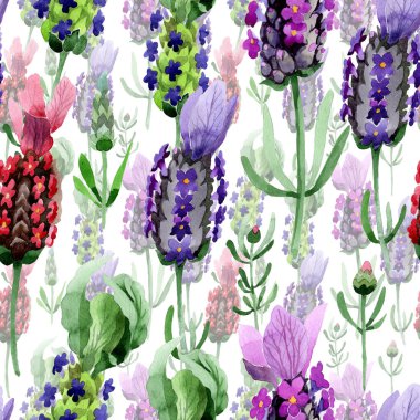 Kır çiçeği lavanta çiçek deseni suluboya tarzında.