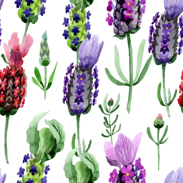 Kır çiçeği lavanta çiçek deseni suluboya tarzında.