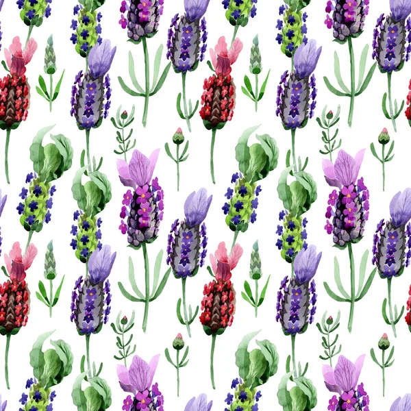 Kır çiçeği lavanta çiçek deseni suluboya tarzında.