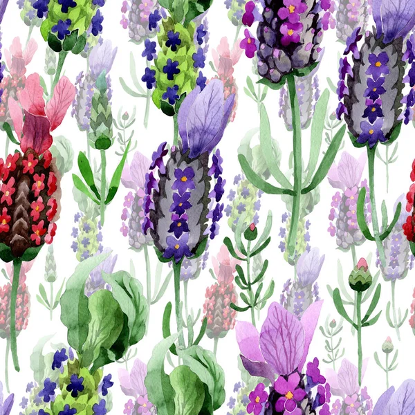 Kır çiçeği lavanta çiçek deseni suluboya tarzında.