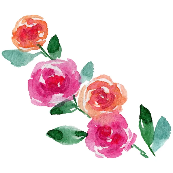 Fleurs sauvages roses fleur dans un style aquarelle isolé . — Photo